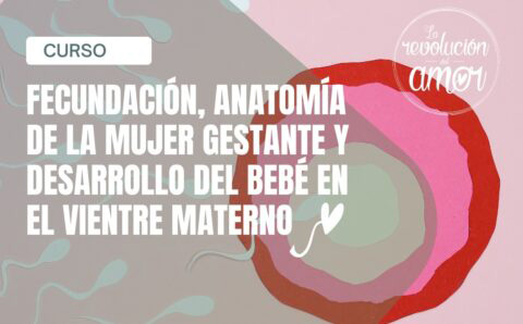 curso-fecundacion2