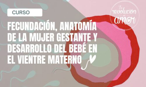 curso-fecundacion2