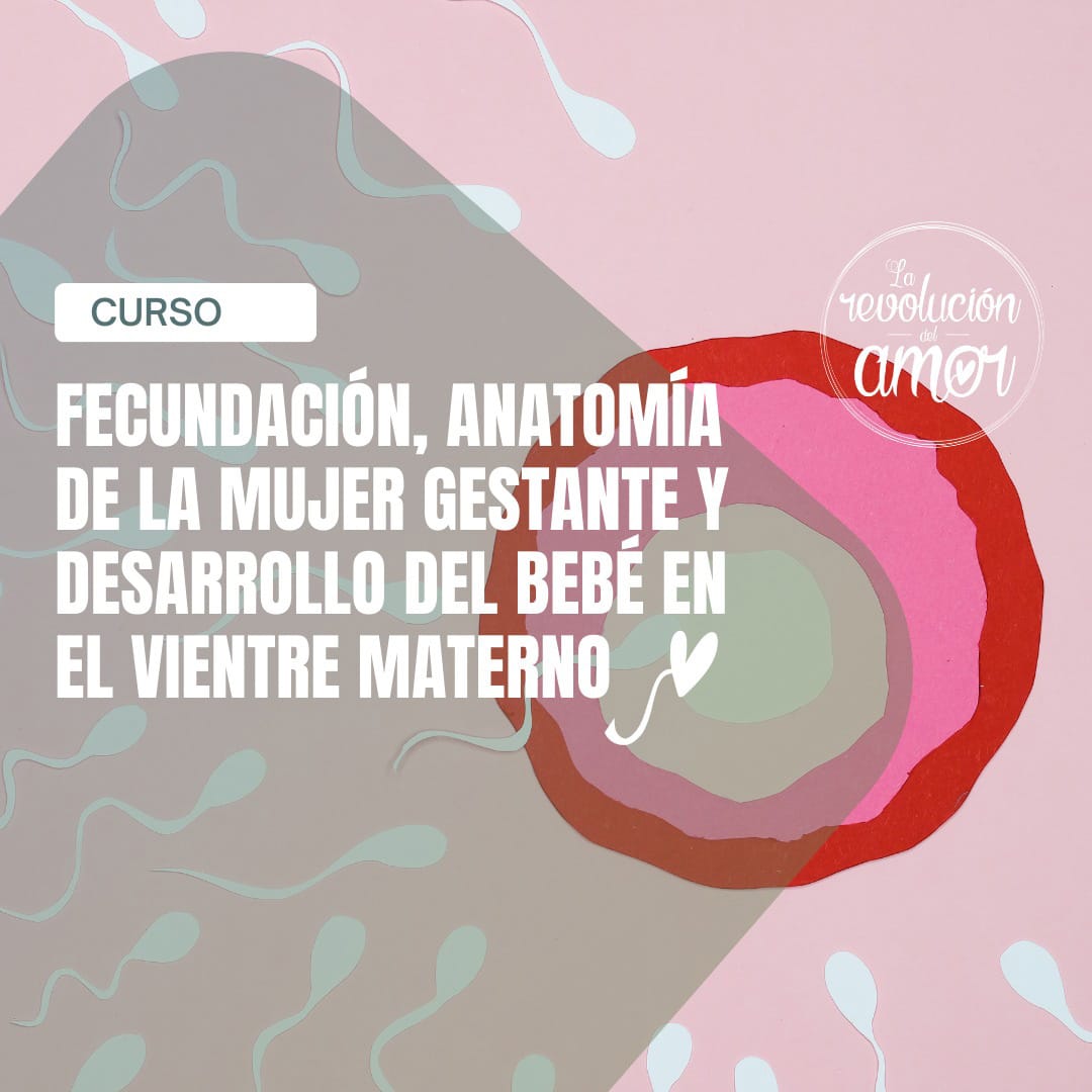 Fecundación, anatomía de la mujer gestante y desarrollo del bebé en el vientre materno Fecundación, anatomía de la mujer gestante y desarrollo del bebé en el vientre materno