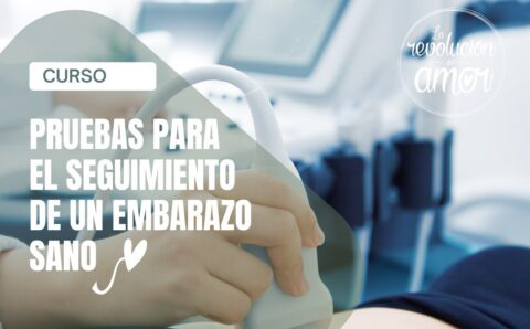 examenes-embarazo2