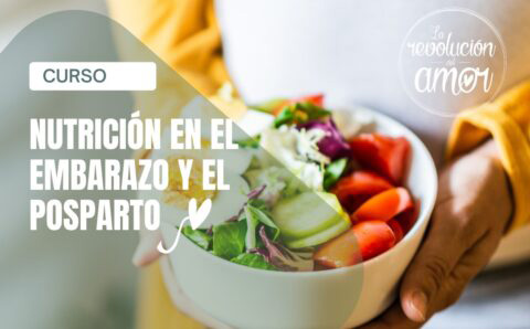 nutricion-gestacion2