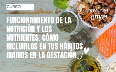 nutricion-nutrientes2