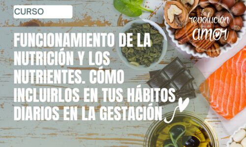 nutricion-nutrientes2