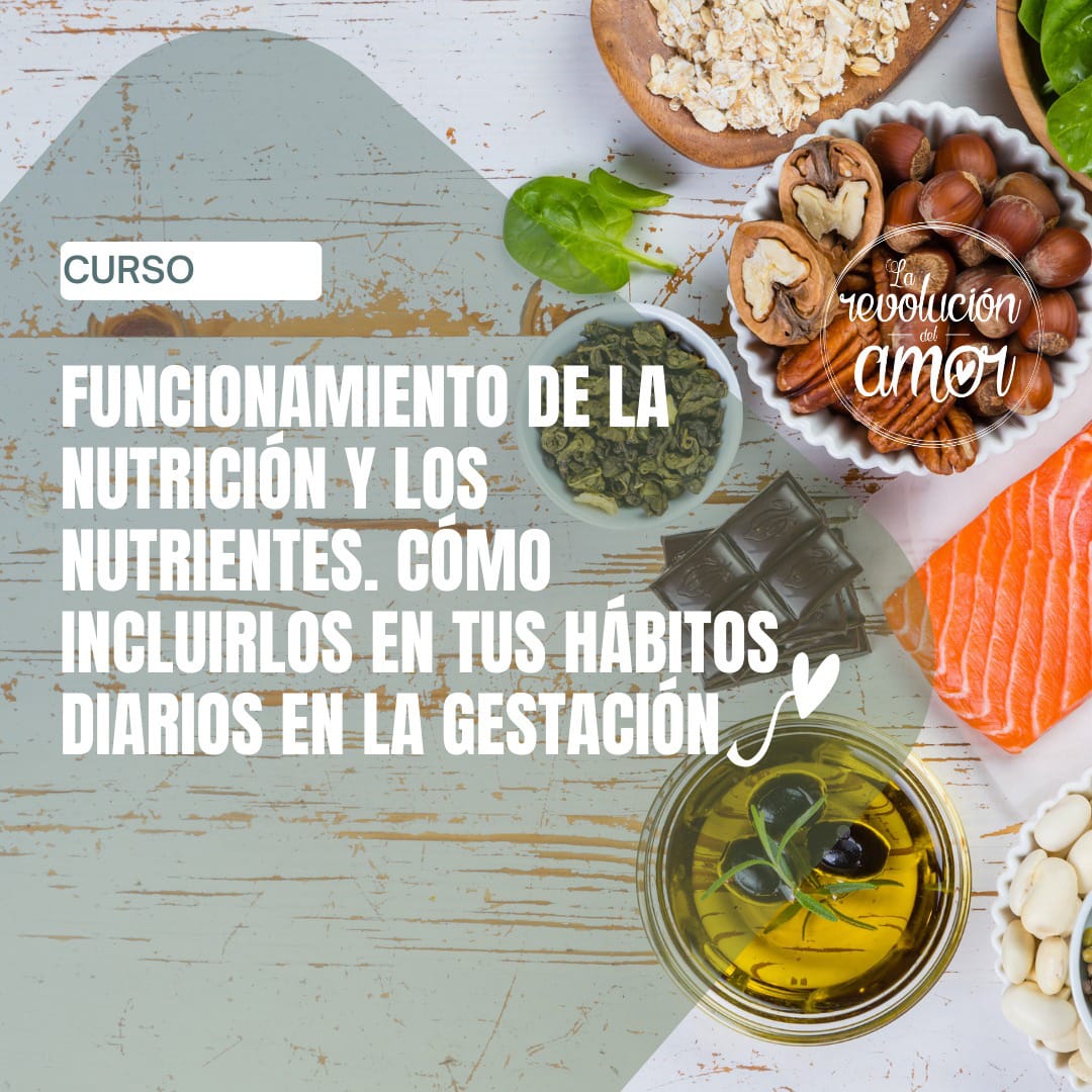 Funcionamiento de la nutrición y los nutrientes. Cómo incluirlos en tus hábitos diarios en la gestación Funcionamiento de la nutrición y los nutrientes. Cómo incluirlos en tus hábitos diarios en la gestación