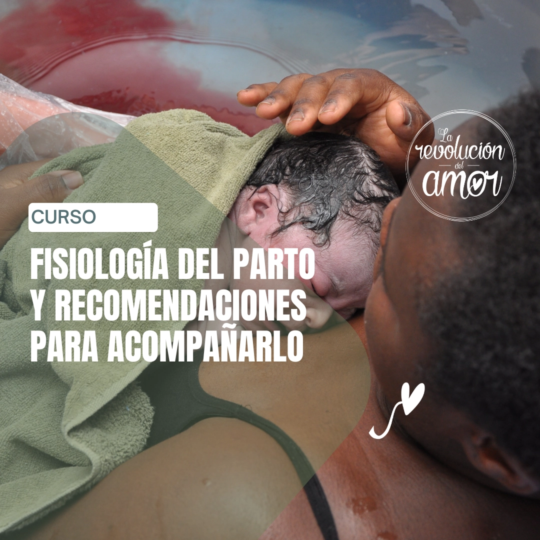 Fisiología del parto y recomendaciones para acompañarlo Fisiología del parto y recomendaciones para acompañarlo