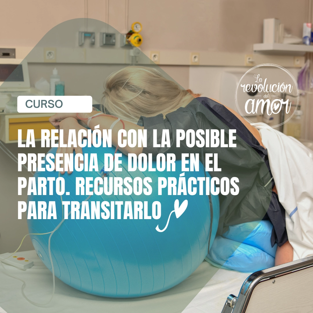La relación con la posible presencia de dolor en el parto. Recursos prácticos para transitarlo La relación con la posible presencia de dolor en el parto. Recursos prácticos para transitarlo