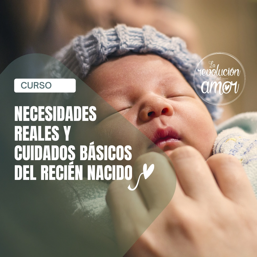 Necesidades reales y los cuidados básicos del recién nacido Necesidades reales y los cuidados básicos del recién nacido