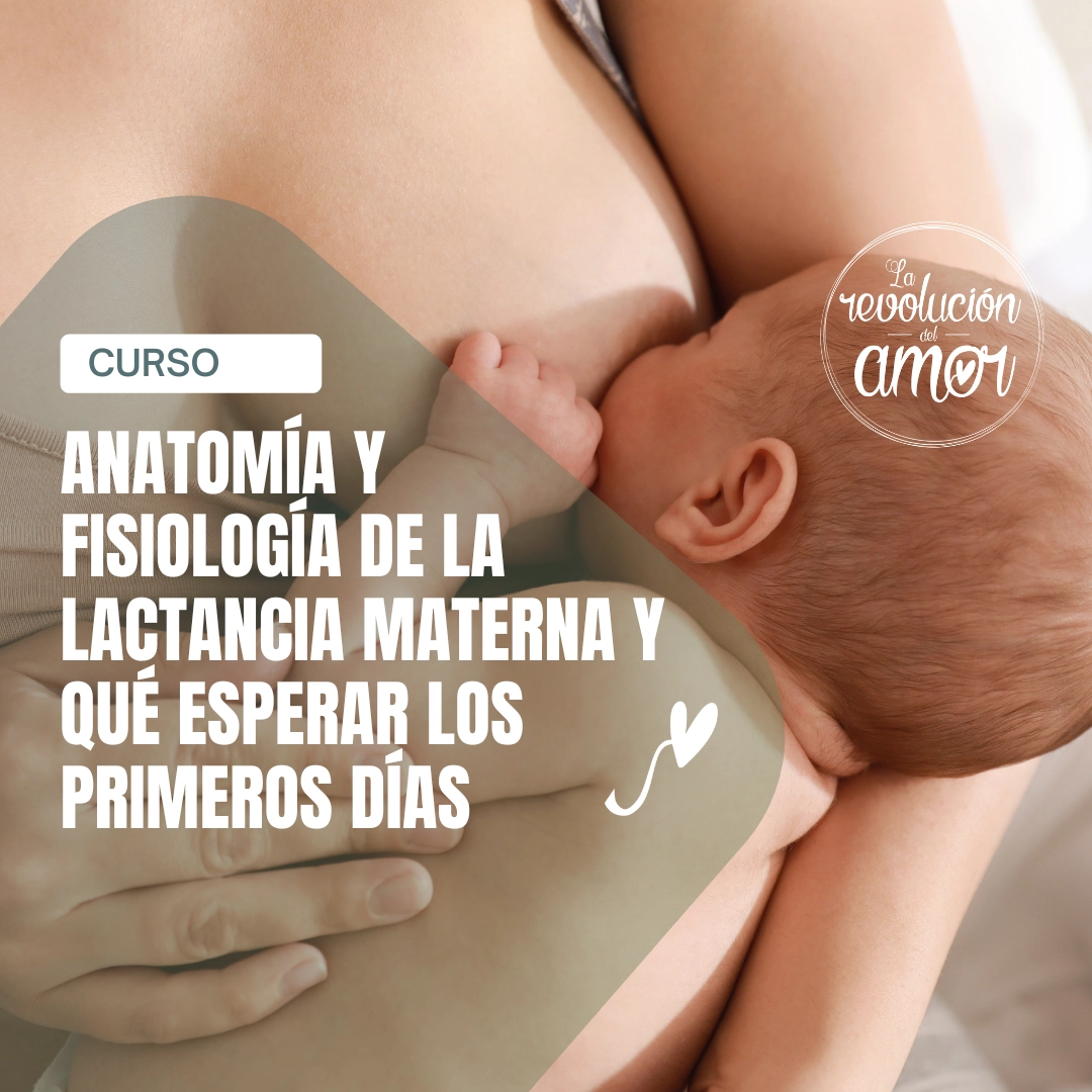 Anatomía y fisiología de la lactancia materna y qué esperar los primeros días Anatomía y fisiología de la lactancia materna y qué esperar los primeros días