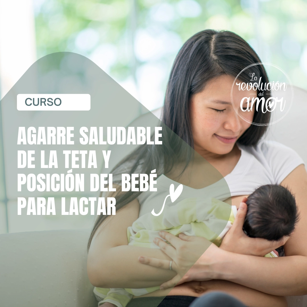 Agarre saludable de la teta y posición del bebé para lactar Agarre saludable de la teta y posición del bebé para lactar